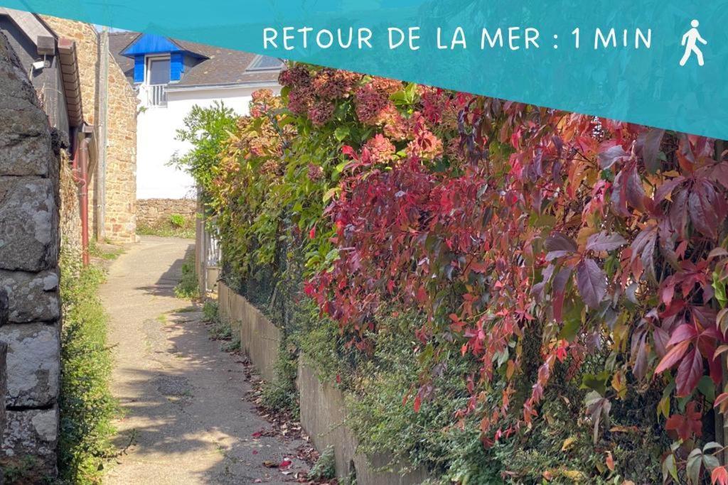 Ty Gavrinis - T2- Centre Bourg - 100M De La Mer 라흐모흐-바덩 외부 사진